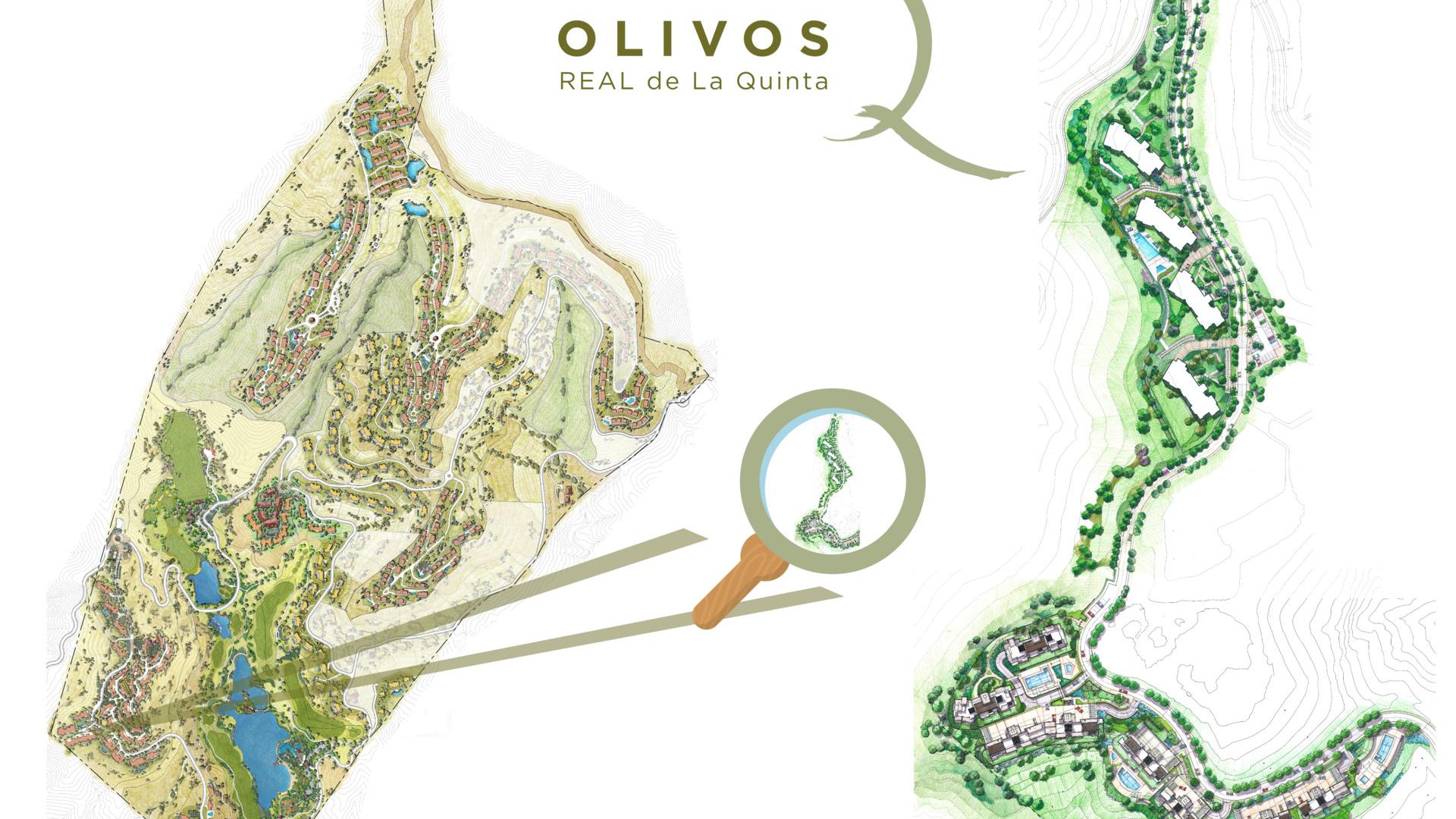 Olivos Master Plan