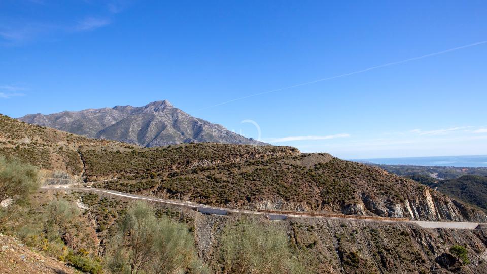 Plots at Real de La Quinta