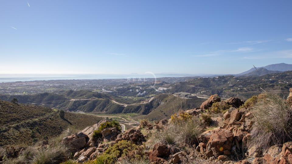 Plots at Real de La Quinta