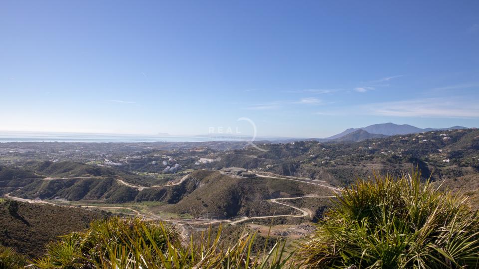 Plots at Real de La Quinta