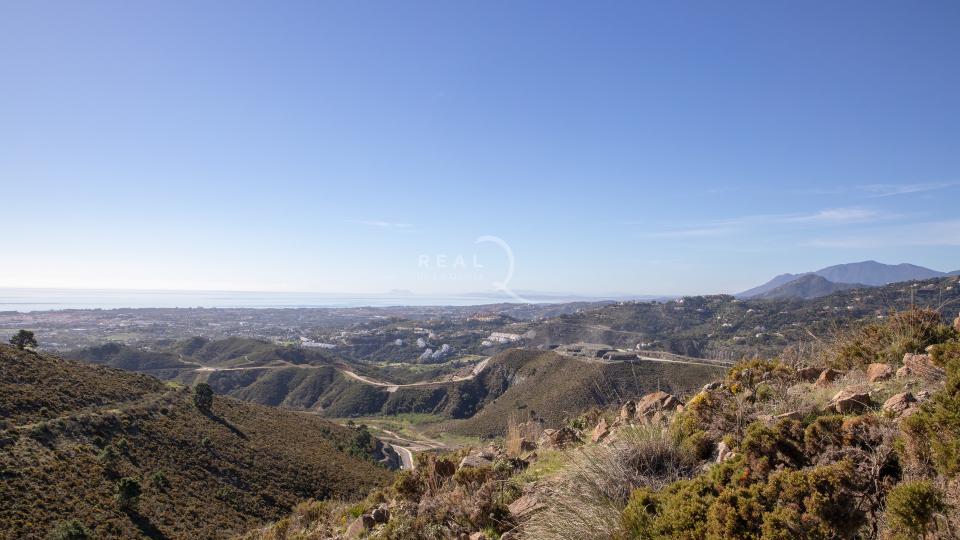 Plots at Real de La Quinta