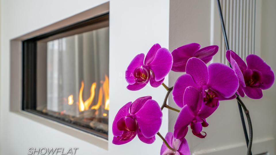 Olivos Showflat - Fireplace