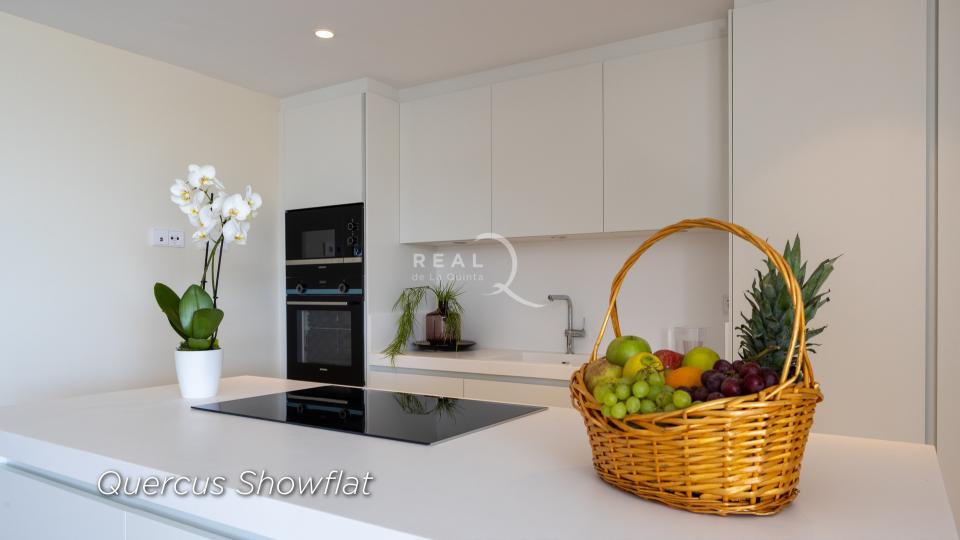 Quercus Showflat - Kitchen