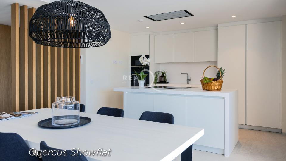 Quercus Showflat - LivingRoom,Kitchen