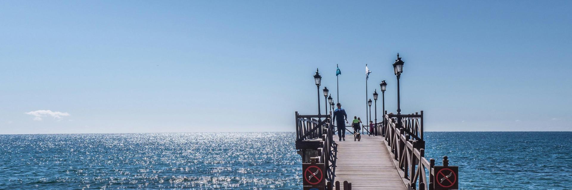 marbella's bridge