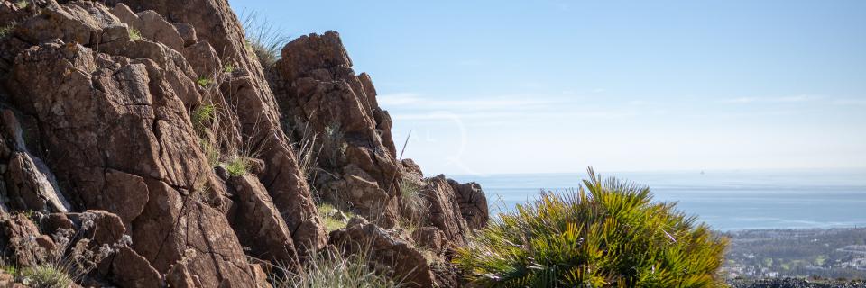 Naturaleza en el Real de La Quinta