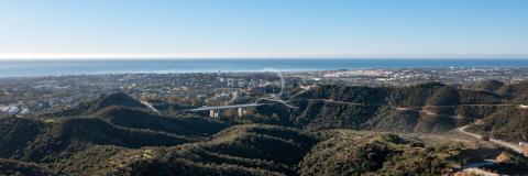 Exceptional plots in Marbella