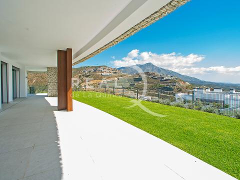 Terraza y jardín