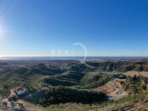 Views 14.1 Views 14.1